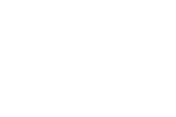 skrill logo